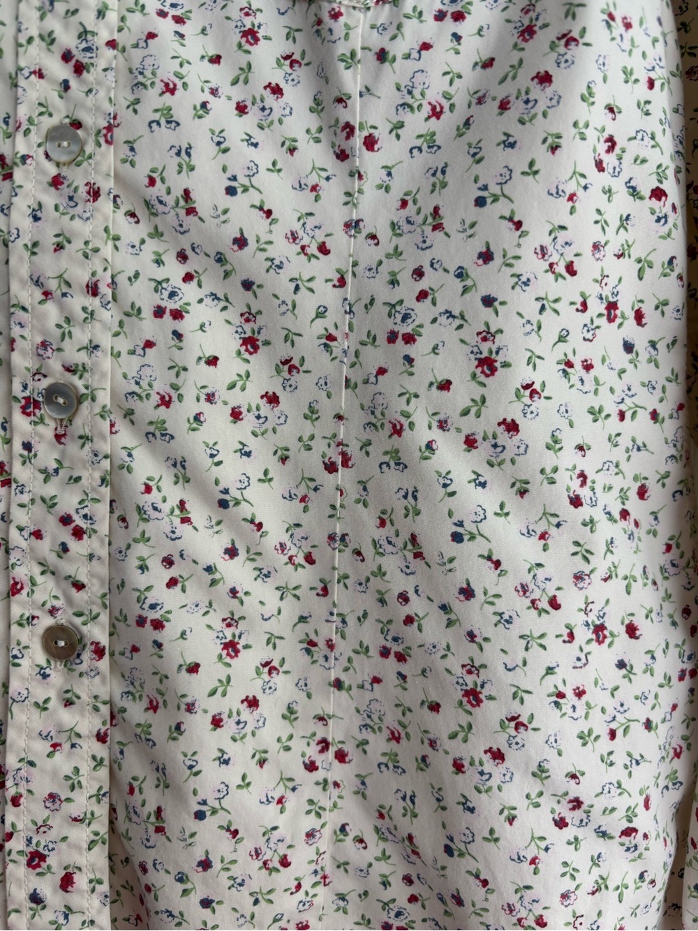 HILFIGER Denim Blue Red & White Vintage Floral Western Style Button Down Shirt L - Picture 6 of 12